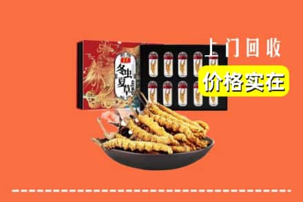 昆明市晋宁回收冬虫夏草